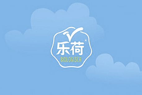 樂(yuè)荷網站(zhàn)設計